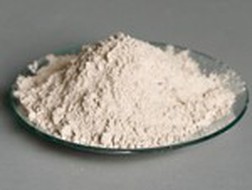 PVC: Halley Sicav thành cổ đông lớn