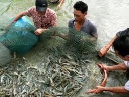 Thêm khó cho doanh nghiệp