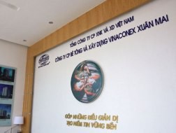 Lộ diện nhà đầu tư "ôm trọn" 51% vốn điều lệ của XMC từ VCG