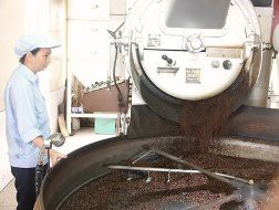 Xin giãn nợ cho ngành cà-phê 