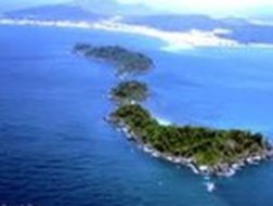 NVT: Cổ phiếu vào diện tạm ngừng giao dịch từ 4/4