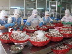 Sức ép cổ phiếu thủy sản