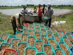 FMC thông báo tình hình hoạt động tháng 3