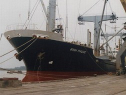 VNA: Quý 1 lỗ 28,7 tỷ đồng