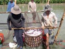 Việt Nam có đủ chứng cứ khẳng định phán quyết DOC vô lý 