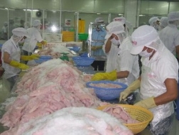 8 DN xuất cá tra sang Mỹ được hưởng thuế suất thấp