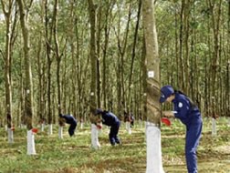 Doanh nghiệp Việt Nam đầu tư ra nước ngoài: Áp lực cạnh tranh ngày càng lớn