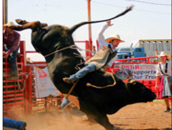 PTKT Chứng khoán 19/6: Mốc hỗ trợ 63 điểm của sàn HNX khá vững