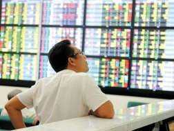 Đâu là nguyên nhân khiến chứng khoán thất thường