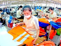 TPP có dành cho doanh nghiệp gia công?