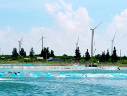 Gỡ “nút thắt” cho điện gió
