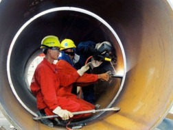 GDP ước tăng 4,9% sau 2 quý