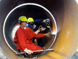 GDP ước tăng 4,9% sau 2 quý