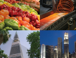 CPI thành phố Hà Nội tháng 7 tăng 0,22% so với tháng trước