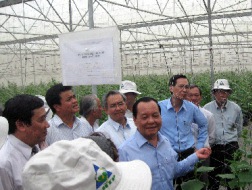 Nông nghiệp TPHCM giữ mức tăng trưởng ấn tượng