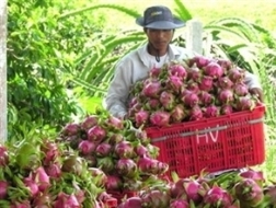 Việt Nam-Nhật thỏa thuận tăng hợp tác nông nghiệp