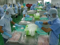 VNH: Lỗ quý thứ 3 liên tiếp