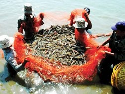 Xuất khẩu thủy sản: Kỳ vọng vào những tín hiệu mới