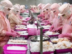 Vực dậy ngành thủy sản
