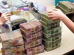 Sẽ xử lý hoàn thuế VAT sớm cho các doanh nghiệp