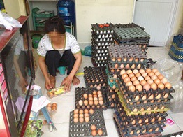 Dịch cúm gia cầm, trứng "bẩn" vẫn bán tràn lan