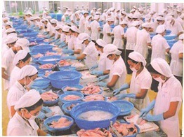 DOC lại tăng thuế chống bán phá giá