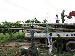 Có thể khởi tố vụ gây sự cố mất điện đường dây 500 kV