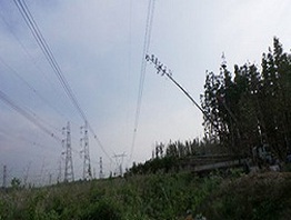 Sự cố mất điện toàn miền Nam: Ai sẽ phải bồi thường thiệt hại?
