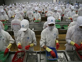 VASEP kiến nghị sửa quy định kiểm nghiệm lô hàng xuất khẩu
