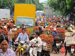 Phần lớn vải thiều ở Hà Nội chỉ là vải loại 3