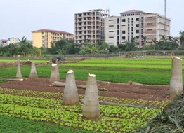 Thu hồi đất phải tính đến sinh kế lâu dài của người dân 