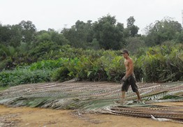 Đóng tiền 10 năm, đất nằm trên giấy!