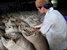 Ai đủ can đảm để “thất bại” đến 17 lần trong một năm?