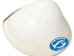 ABT "mở đường thâu tóm" cho PAN?
