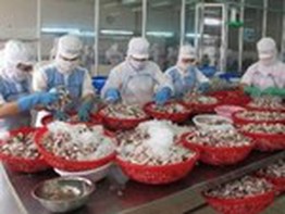 FBT: Hủy niêm yết cổ phiếu từ 14/6