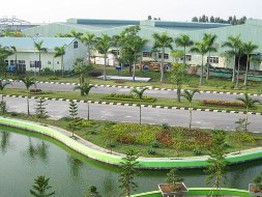 AAA: Thông qua dùng quỹ thặng dư vốn 2008-2010 đầu tư dự án tại Lào