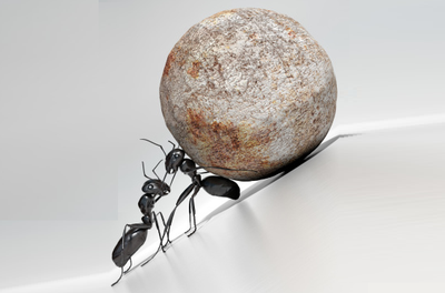 [Nóng trong tuần] VIB cải tổ nhân sự, 10 doanh nhân thành đạt từng học trường Kinh tế Quốc dân