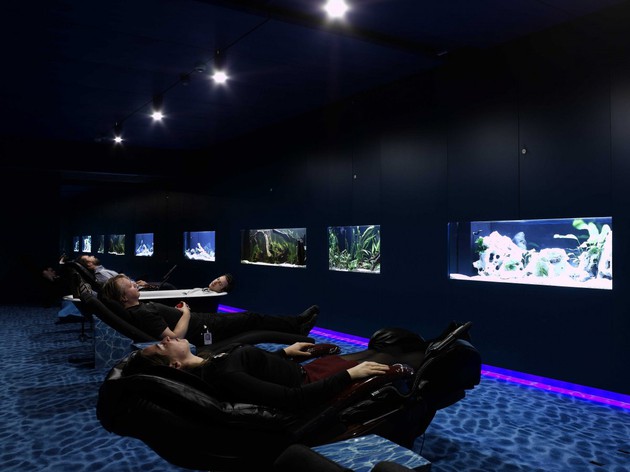 31 văn phòng làm việc 'đẹp như mơ' bất cứ nhân viên nào cũng khao khát (P1) - google-trang-bi-mot-phong-thu-gian-doc-dao-danh-cho-nhan-vien-ngay-tai-noi-lam-viec.jpg