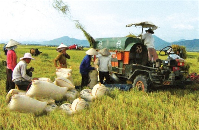 Tái cơ cấu nông nghiệp: Cần lấy nông dân làm gốc