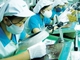 Kim ngạch thương mại Việt Nam-EU tăng gần 6 lần