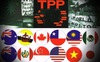 Triển vọng thông qua TPP ở 12 nước có “sáng”?
