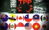 TPP có thể được bỏ phiếu tại Quốc hội Mỹ trong 6 tháng đầu năm 2016