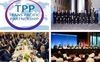 Cam kết của Việt Nam với các thành viên TPP trong lĩnh vực tài chính