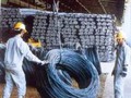 Ngày 19/12: Brazil điều trần về vụ điều tra chống bán phá giá SP thép cán nguôi nhập từ VN