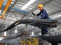 Năm 2012, tổng tiêu thụ ngành thép tăng 3%