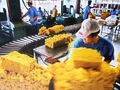 Xuất khẩu cao su giảm mạnh