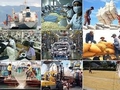 Chính phủ bổ sung quy định về tín dụng đầu tư và tín dụng xuất khẩu của Nhà nước