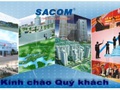 SAM lãi ròng 34 tỷ đồng quý 1, giảm 10% so với cùng kỳ