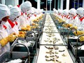 Nhật bỏ chế độ kiểm tra Trifuralin với tôm VN