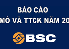 Báo cáo chiến lược CK BSC: VN-Index có thể đạt 600 điểm cuối năm 2014